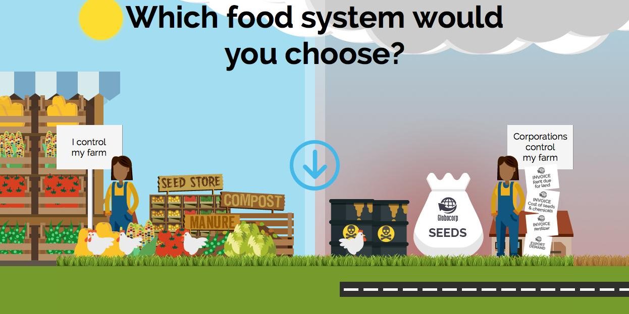 Food System Info Graphic